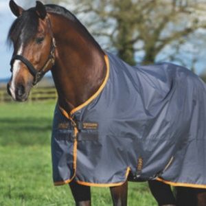 Horseware of Ireland Amigo Hero 6 Lite Turnout Sheet